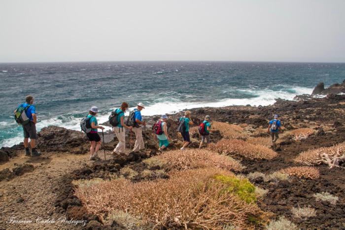 Piso Nuevo En El Al Lado Del Mar Realizamos Servicio De Excursiones Con Guia Puertito de Guimar